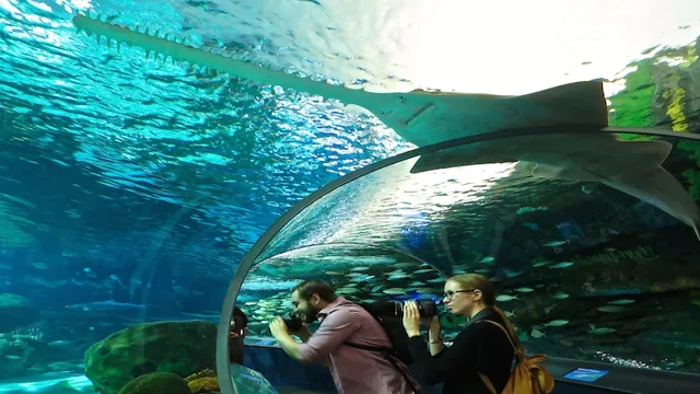 How to Get to the Aquarium in Toronto: A Comprehensive Guide for Visitors