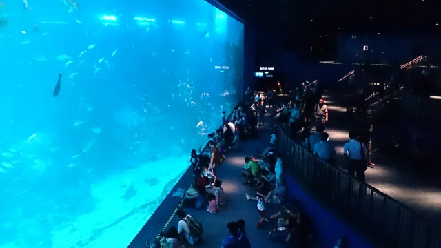 how to get to the aquarium singapore
