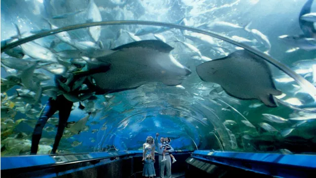 how to get to the aquarium sydney