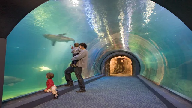 How to Get to the New Jersey Aquarium: Your Guide to Exploring Marine Life