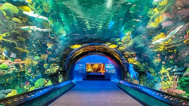 how to get to the new york aquarium