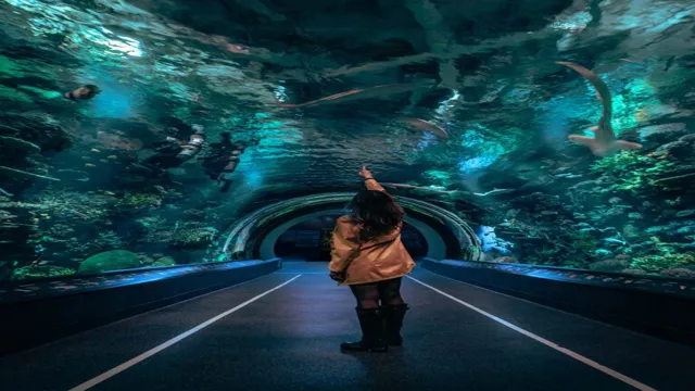 How to Get to the New York Aquarium: A Comprehensive Guide for Visitors