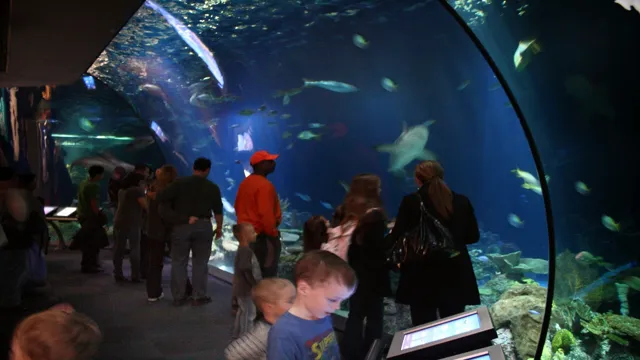 how to get to the shedd aquarium