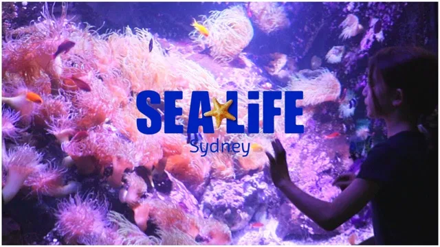 how to get to the sydney aquarium by train