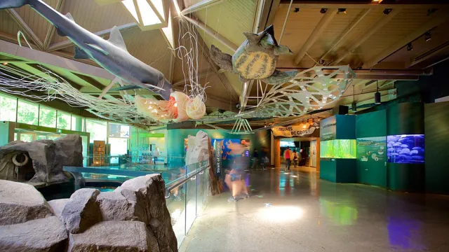 How to Get to the Vancouver Aquarium: A Comprehensive Guide for Visitors