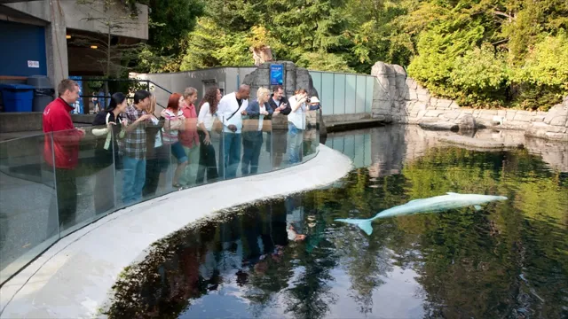 how to get to vancouver aquarium from surrey