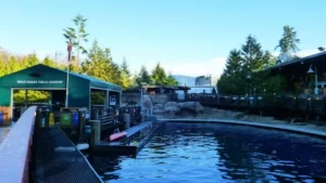 how to get to vancouver aquarium from surrey 2