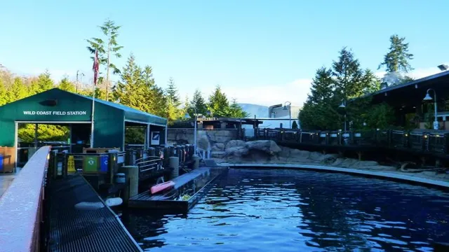 How to Get to Vancouver Aquarium from Surrey: A Comprehensive Guide