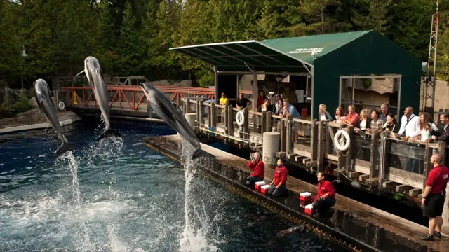 how to get to vancouver aquarium on transit