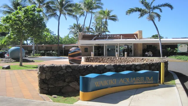 how to get to waikiki aquarium