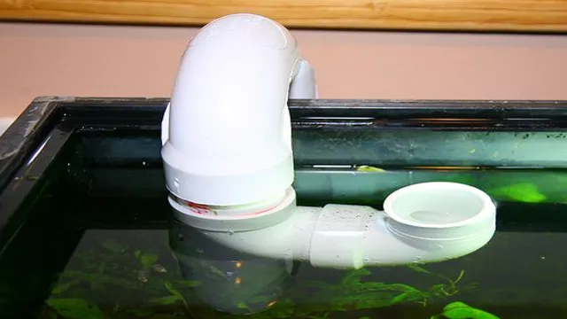 How to Get Water Out of Aquarium: Quick and Easy Solutions