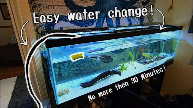how to get water out of aquarium