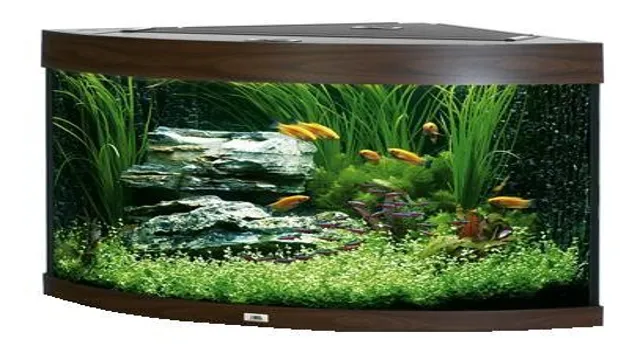 How to Get Wood to Sink in Aquarium: Tips and Tricks for Perfect Submersion