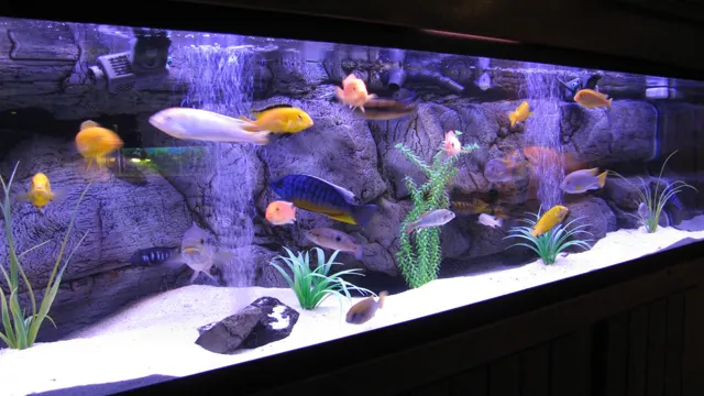 how to get your aquarium suitable for fish