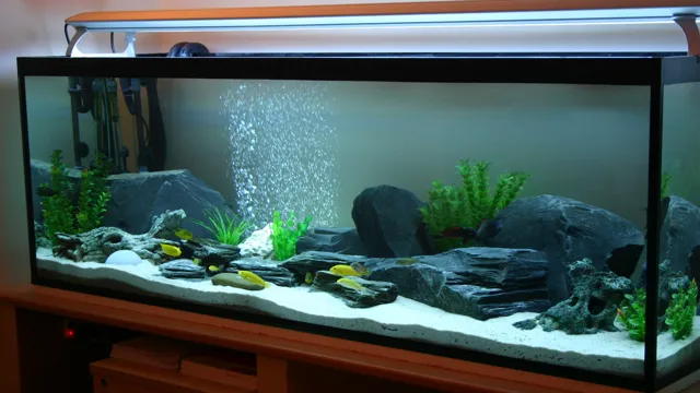 How to Get Your Aquarium Suitable for Fish: Tips for a Safe and Healthy Aquatic Environment