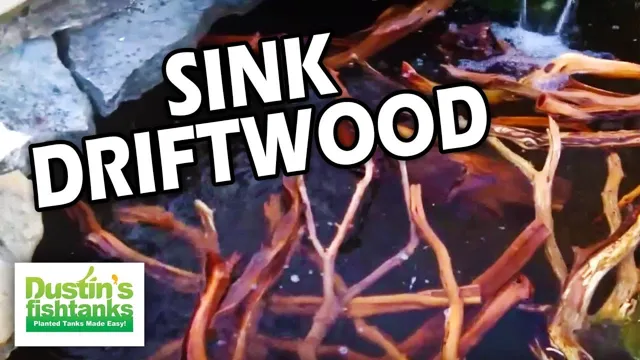 How to Get Your Aquarium Wood to Sink: Tips and Tricks for a Submerged Environment