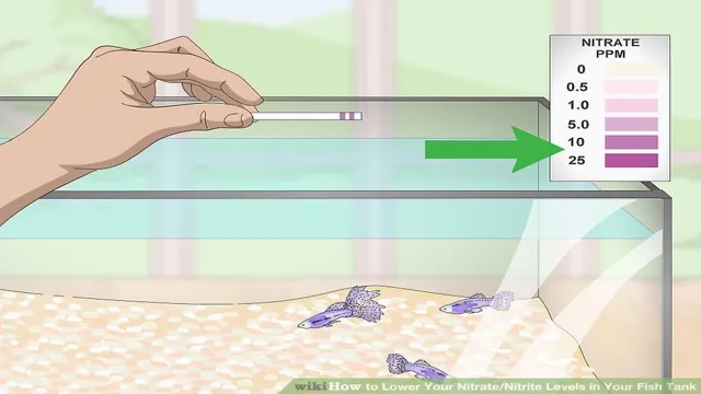 how to get your nitrate levels down in a aquarium