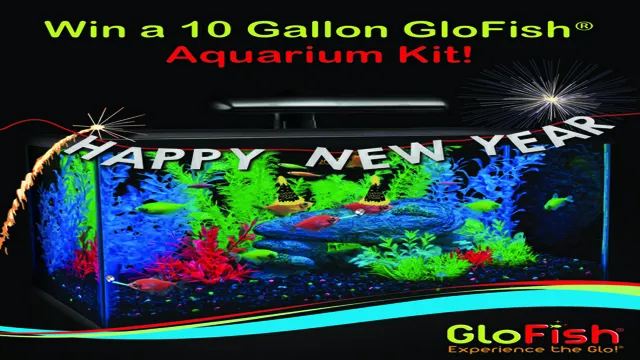 How to Give Away Aquarium Fish: Tips and Tricks for Finding Them a New Home