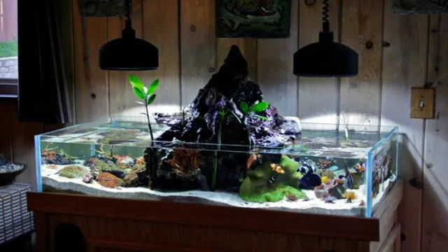 how to give away old aquarium