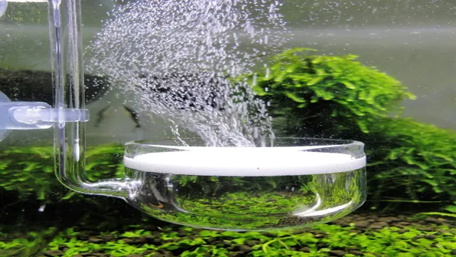 how to give co2 to aquarium plants