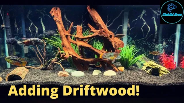 how to glue driftwood to rocks aquarium