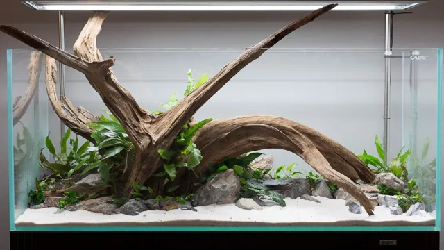 How to Glue Driftwood to Rocks Aquarium: Tips and Tricks for a Secure and Natural Setup