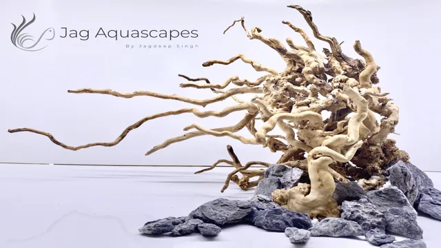 How to Glue Driftwood Together for Your Aquarium: Tips and Techniques