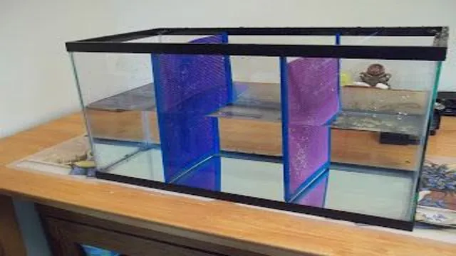 how to glue plexiglass for aquarium divider