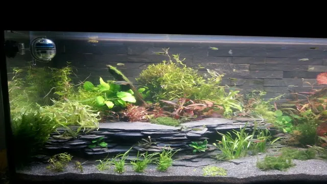 how to glue slate for aquarium