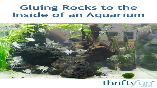 How to Glue Stones in an Aquarium: A Step-By-Step Guide for…