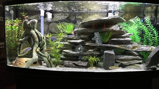 How to Glue Wood to Slate Aquarium: A Complete Guide for…