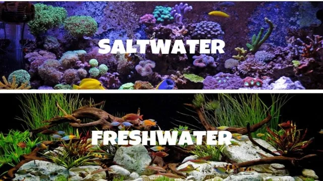 How to Go from Saltwater to Freshwater Aquarium: Simple Steps to Ensure Successful Transition