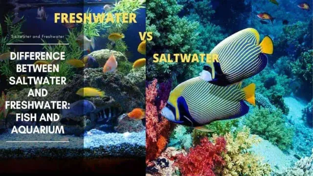 how to go from saltwater to freshwater aquarium
