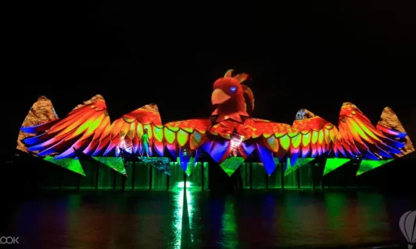 Aquariums lab How to Go from Sea Aquarium to Wings…