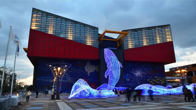 How to Go to Osaka Aquarium Kaiyukan: Your Ultimate Guide to a Spectacular Underwater Adventure