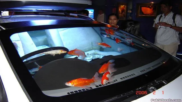 how to go sea aquarium by car