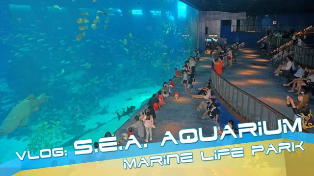 how to go sea aquarium sentosa by mrt