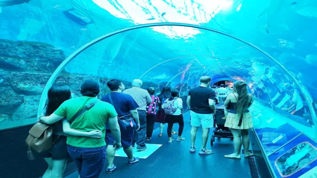 How to Go to Sea Aquarium Sentosa by MRT: A Step-by-Step Guide