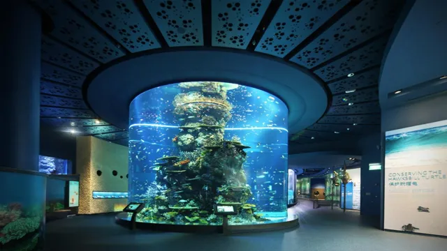 How to Go to Sea Aquarium Sentosa by MRT: A Comprehensive…