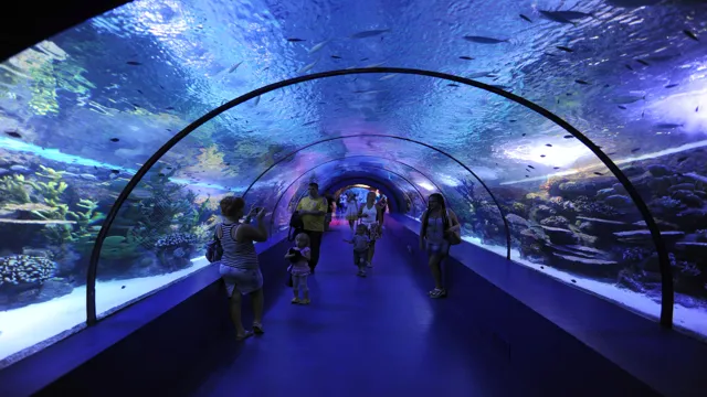 how to go to antalya aquarium