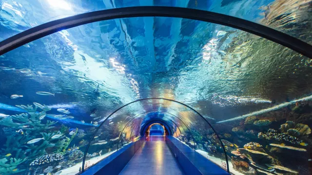 How to Go to Antalya Aquarium: A Comprehensive Guide to Getting There