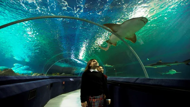 how to go to aquarium istanbul