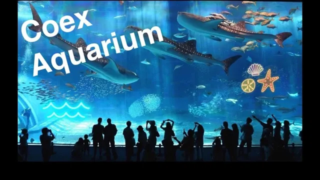 how to go to coex aquarium