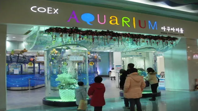 How to Go to Coex Aquarium from Myeongdong: A Handy Guide for Tourists