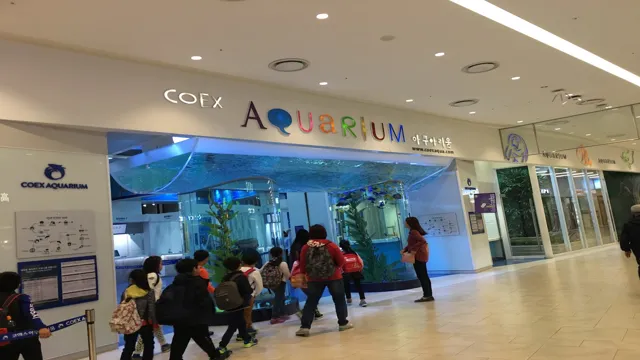 How to Go to COEX Aquarium: Your Ultimate Guide to Exploring the Marine World.