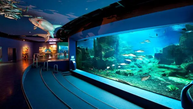 how to go to istanbul aquarium