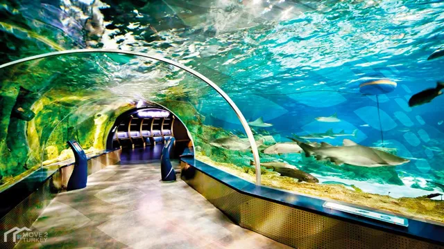 how to go to istanbul aquarium by metro