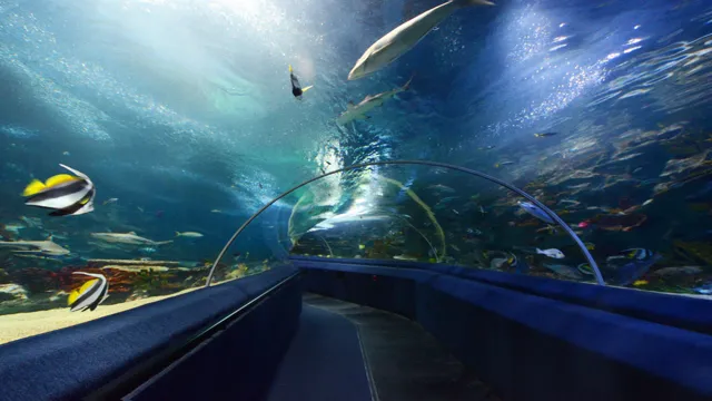 How to Go to Istanbul Aquarium from Sultanahmet: A Comprehensive Guide