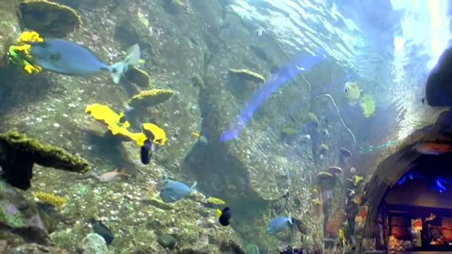 how to go to istanbul aquarium from taksim