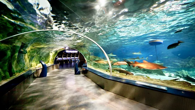 How to Go to Istanbul Aquarium: A Complete Guide for Tourists